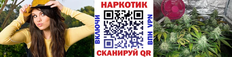 Купить наркотик Щигры Кокаин  Бошки Шишки 